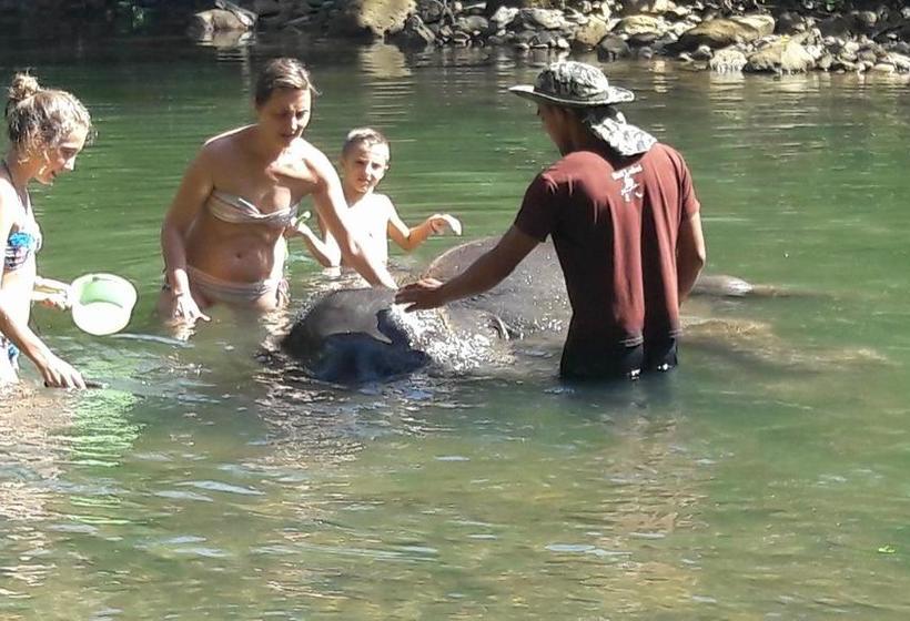 Khao Sok Holiday Resort 2