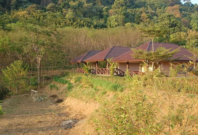 Khao Sok Hill Top Resort 11