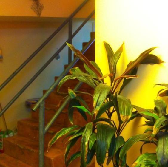 Hostel Sucasa Dorm 13