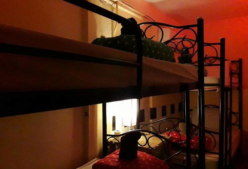 Hostel Sucasa Dorm 2