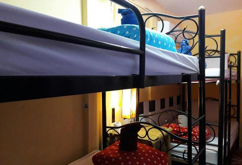 Hostel Sucasa Dorm 3