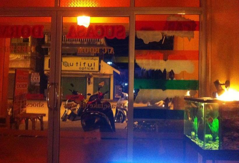 Hostel Sucasa Dorm 7