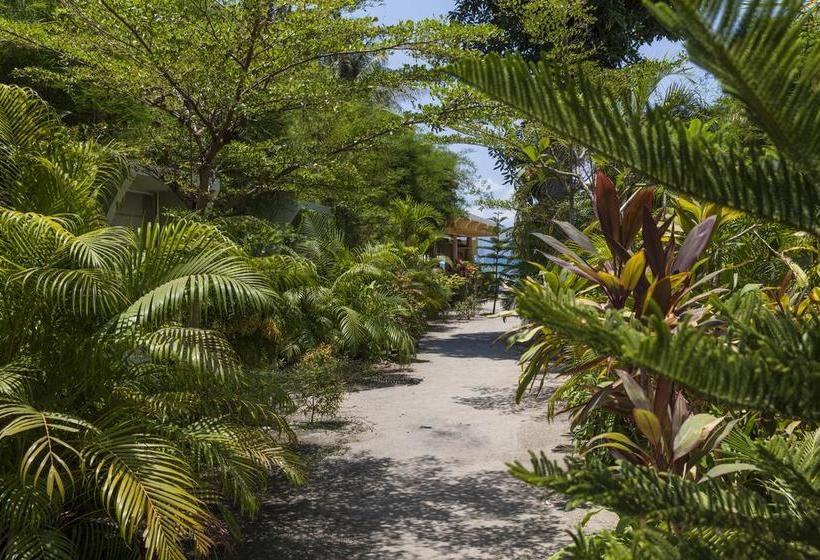 Le Divine Comedie Beach Resort 11