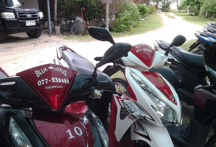 Blue Lotus Resort 6