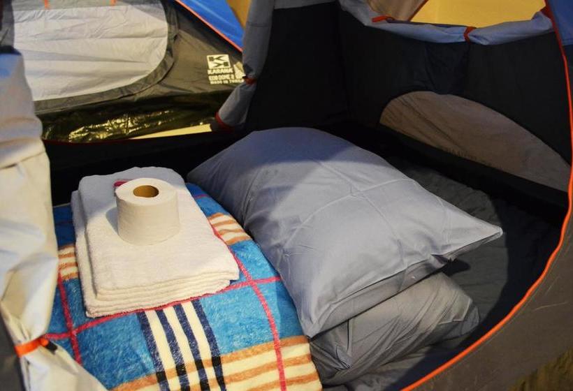 Hostel Hommy Camping Room 15