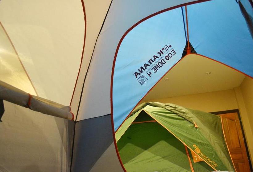 Hostel Hommy Camping Room 16