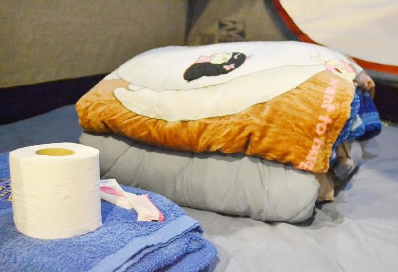 Hostel Hommy Camping Room 19