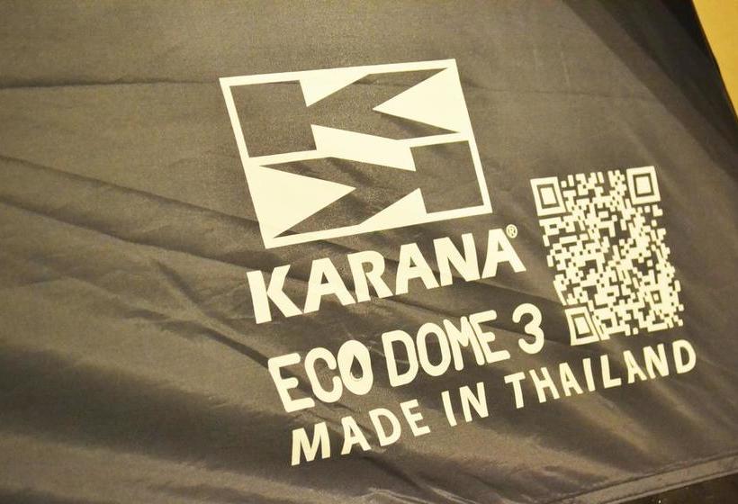 Hostel Hommy Camping Room 20