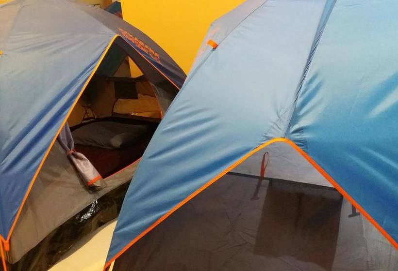Hostel Hommy Camping Room 6