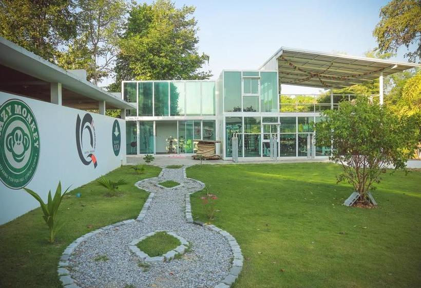 Resort Tree Roots Retreat 2