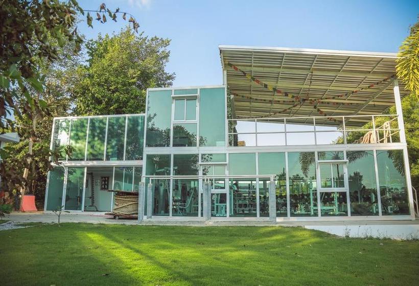 Resort Tree Roots Retreat 3