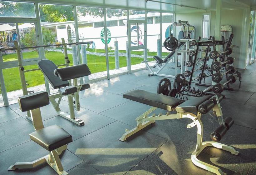 Resort Tree Roots Retreat 6