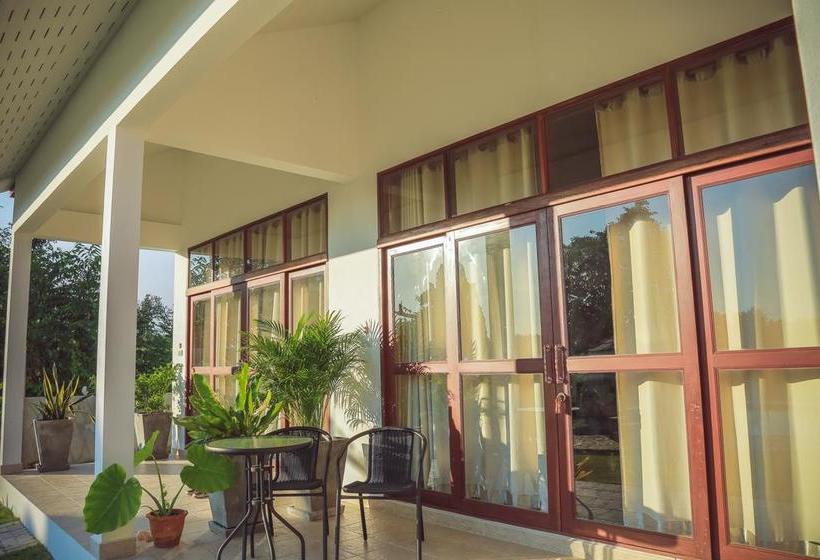 Resort Tree Roots Retreat 7