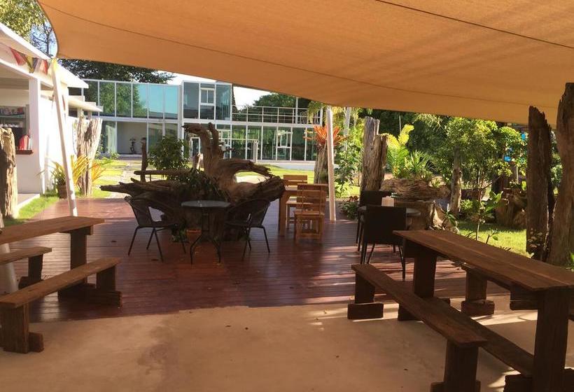 Resort Tree Roots Retreat 9