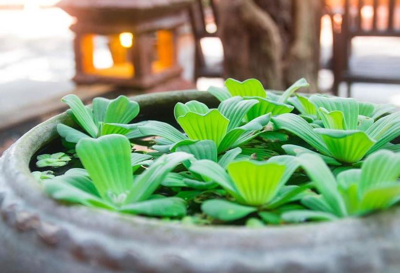 The Resort Baan Tawai 18