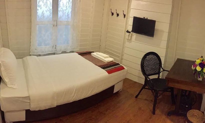 Hostel Purple Monkey Backpackers 6