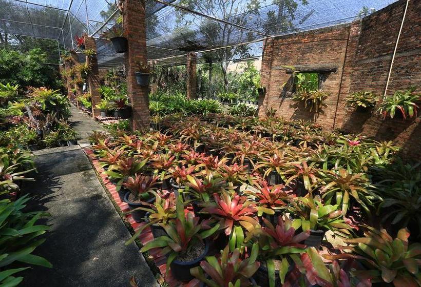 Prueksa Kaew Resort 1