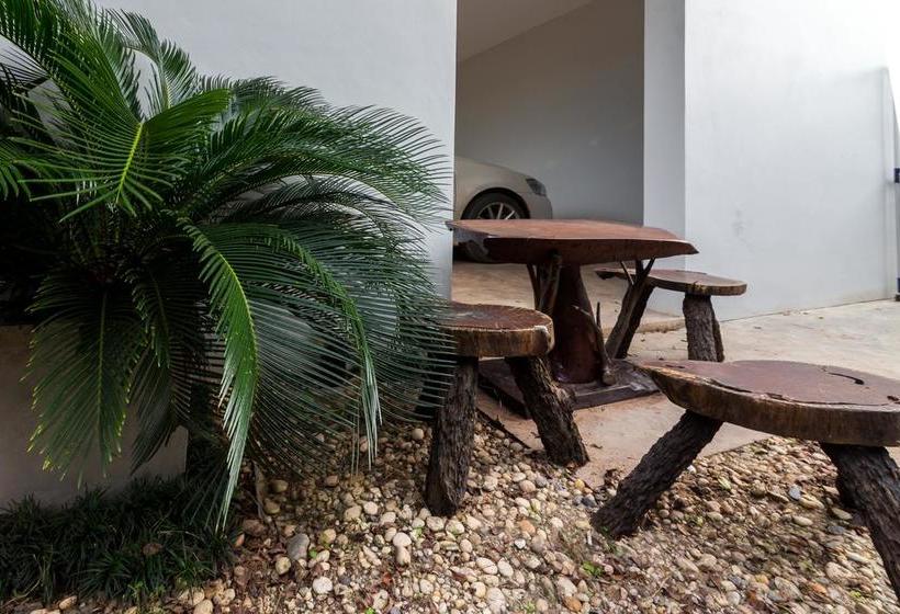 Hotel Maximum Land & House Free Wifi Home 7