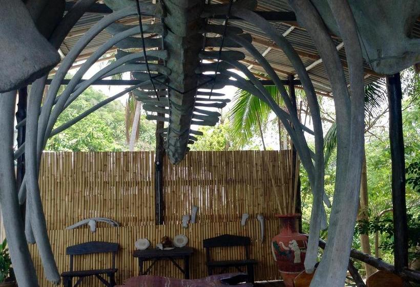 Sairee View Whale Skeleton Resort 13