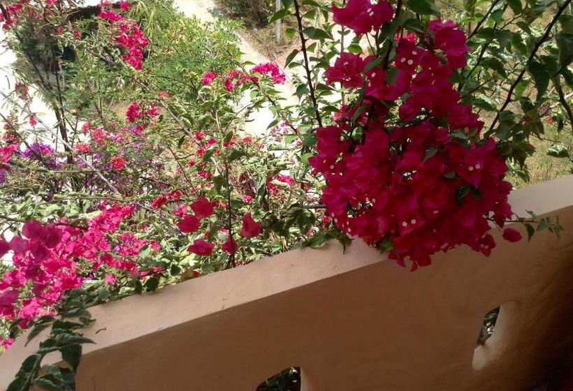 Sairee View Whale Skeleton Resort 2