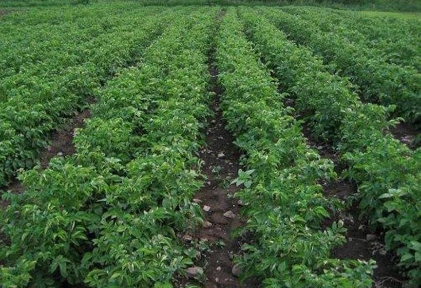 Resort Miyuri House 3