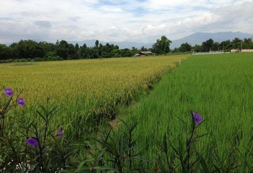 Resort Miyuri House 7