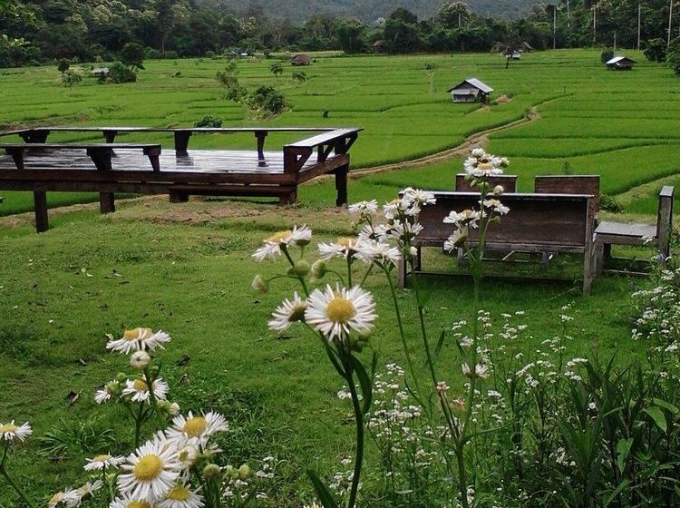 Pension View Point Lodge 16