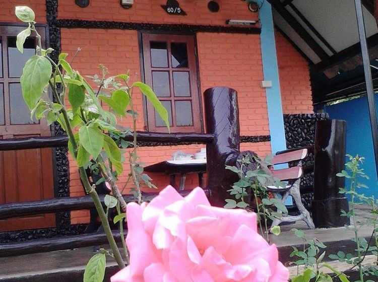 Pension View Point Lodge 8