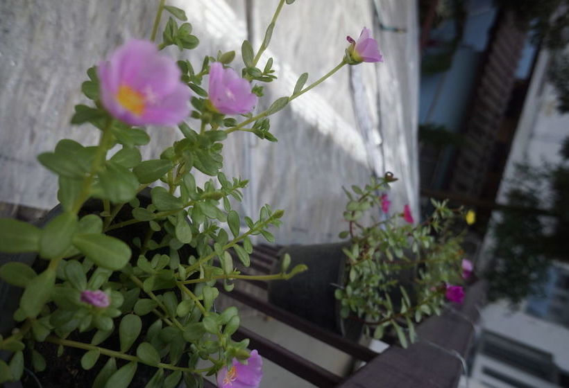 Hostel The Blue 14 House 14