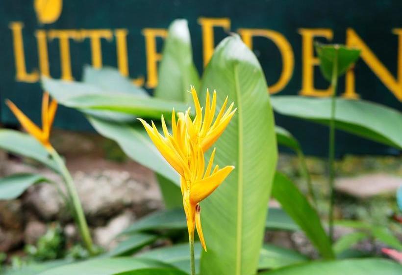 Hotel Exotic Bungalows 13