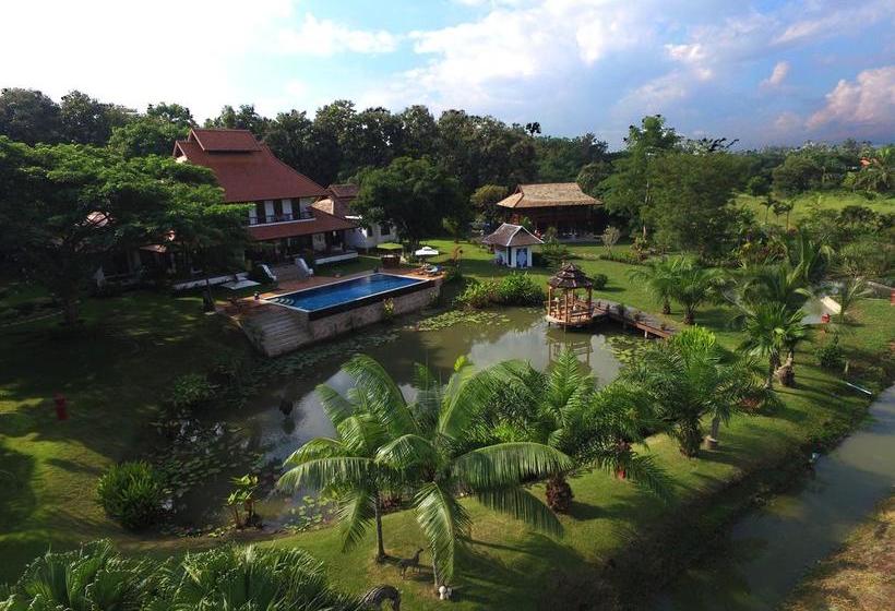 Hotel Rice And Zen Boutique Resort 4