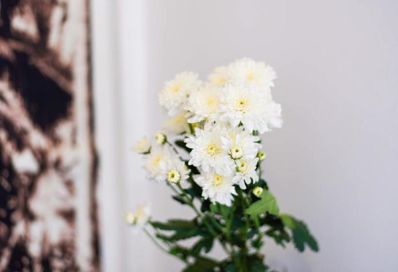 Hotel 1715 House & Caff Resort Phuket 19