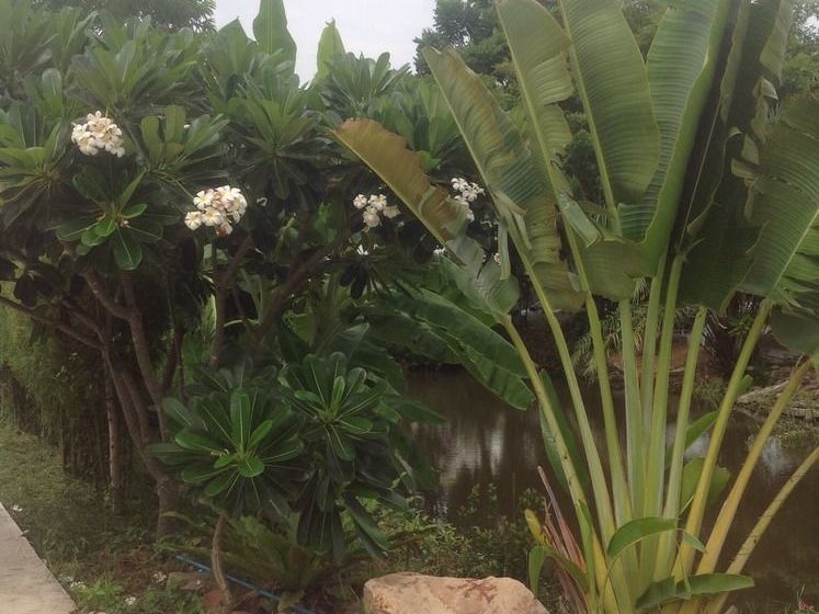 Kantana Apartment & Resort 16