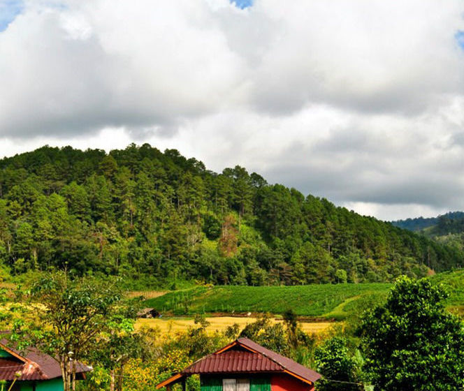 Hotel Mong Homestay Resort 4