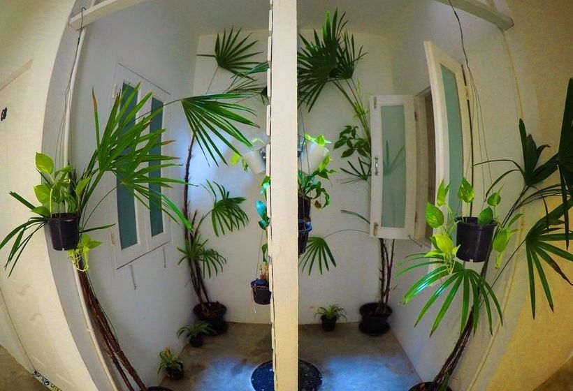 Chino Town Gallery Hostel 10