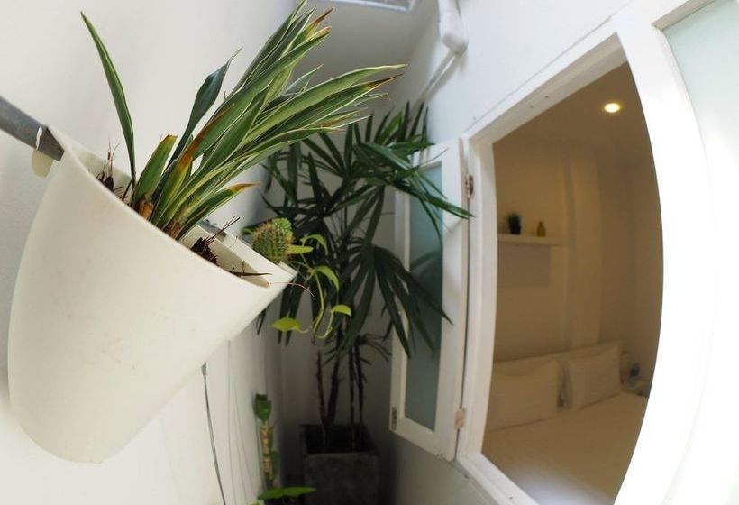 Chino Town Gallery Hostel 14