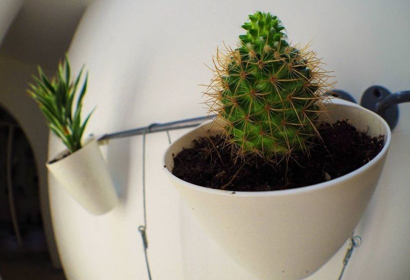 Chino Town Gallery Hostel 17