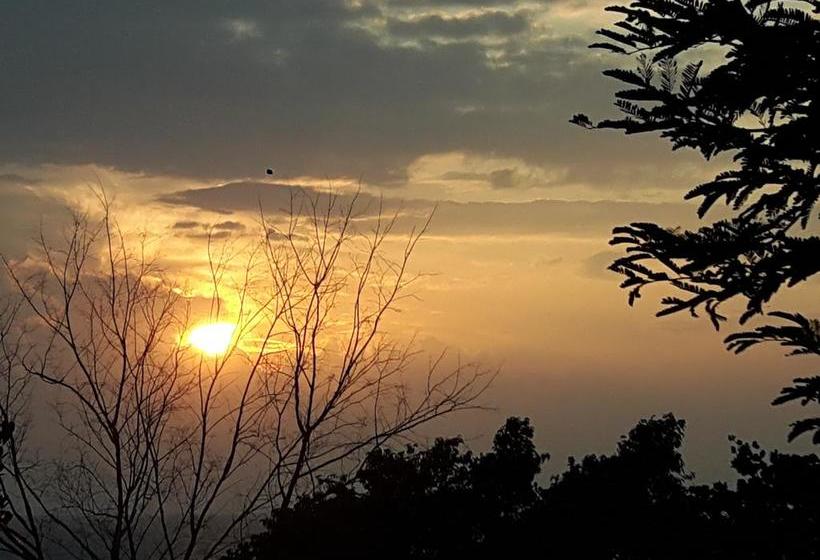 Hotel The Ocean Phangan Homestay 1