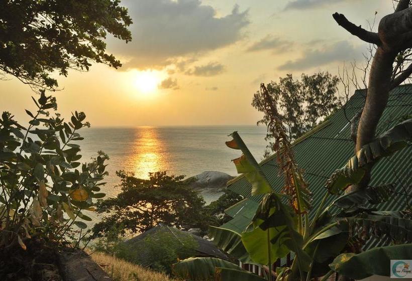 Hotel The Ocean Phangan Homestay 11