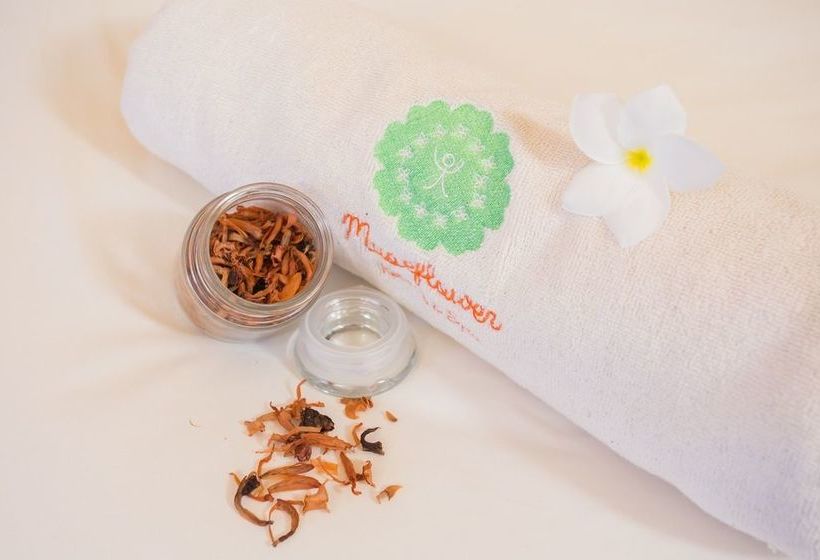 Hotel Museflower Retreat & Spa 17