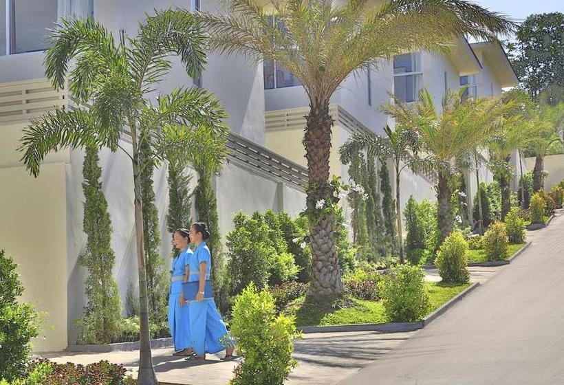 Samui Blue Orchid 11