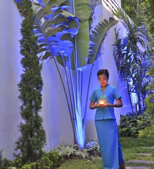 Samui Blue Orchid 13