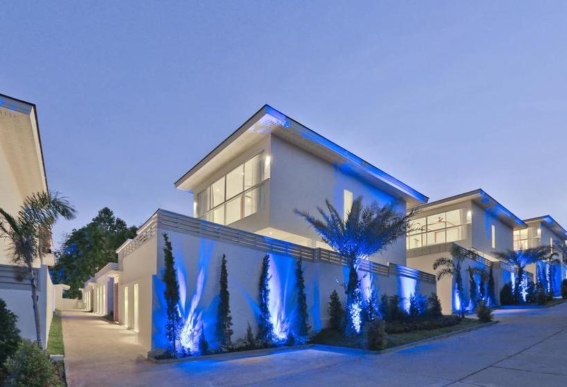 Samui Blue Orchid 14