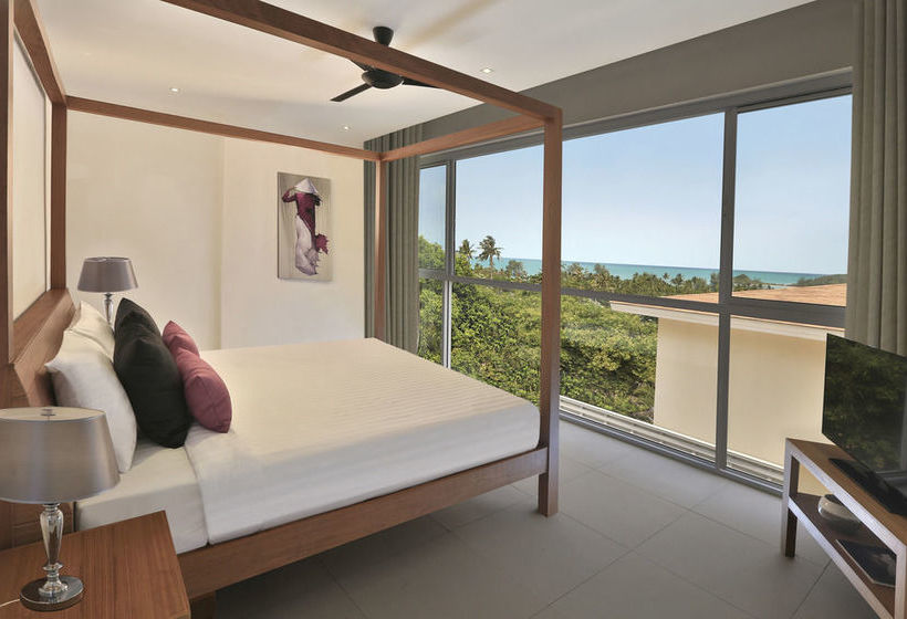 Samui Blue Orchid 16