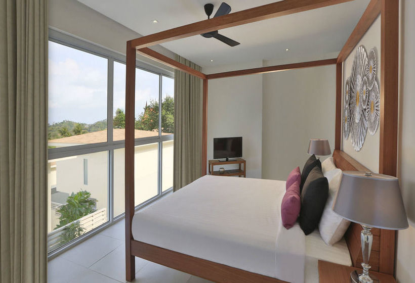 Samui Blue Orchid 17