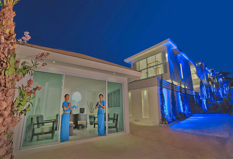 Samui Blue Orchid 19