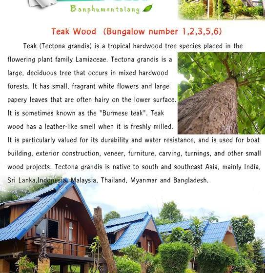 Hotel Banphu Montalang Resort 3