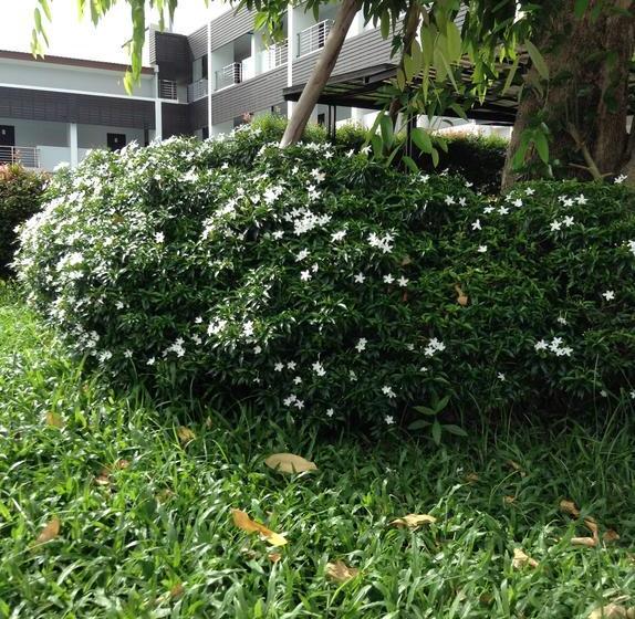 Hotel Bualinn Resort 20