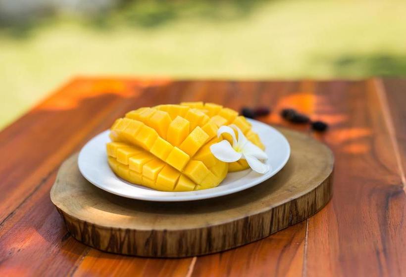 Hotel July Garden Resort Chiang Mai 20