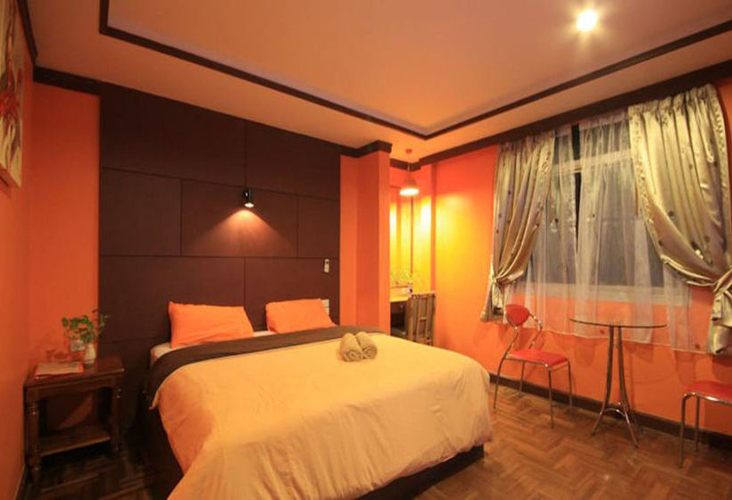 Pension The Palm Delight Lodge 14